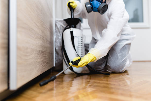 Best Wildlife Control Services  in Duncanville, TX