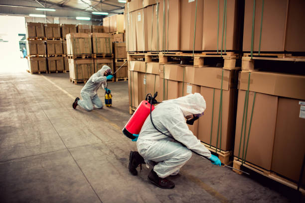 Trusted Duncanville, TX Pest Control Experts