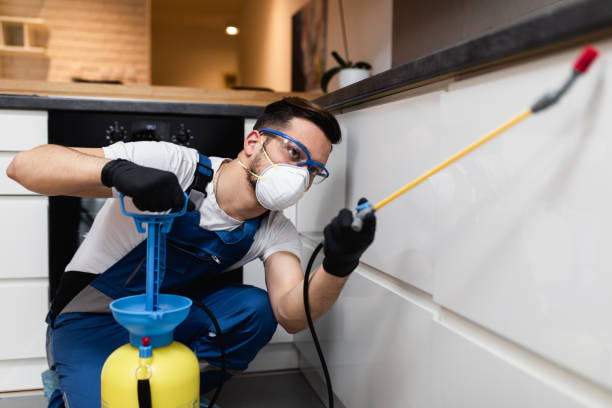Best Cockroach Control Services  in Duncanville, TX