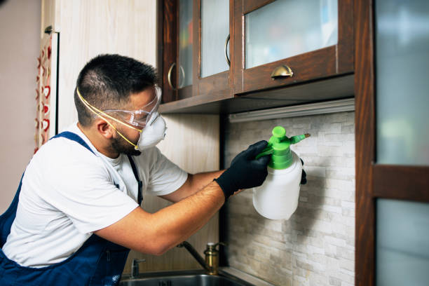 Best Best Pest Control Companies  in Duncanville, TX