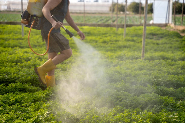 Best Best Pest Control Companies  in Duncanville, TX
