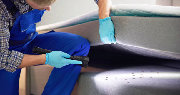 Best Pest Removal Services  in Duncanville, TX