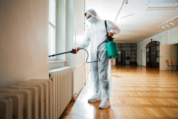 Best Mosquito Control Services  in Duncanville, TX